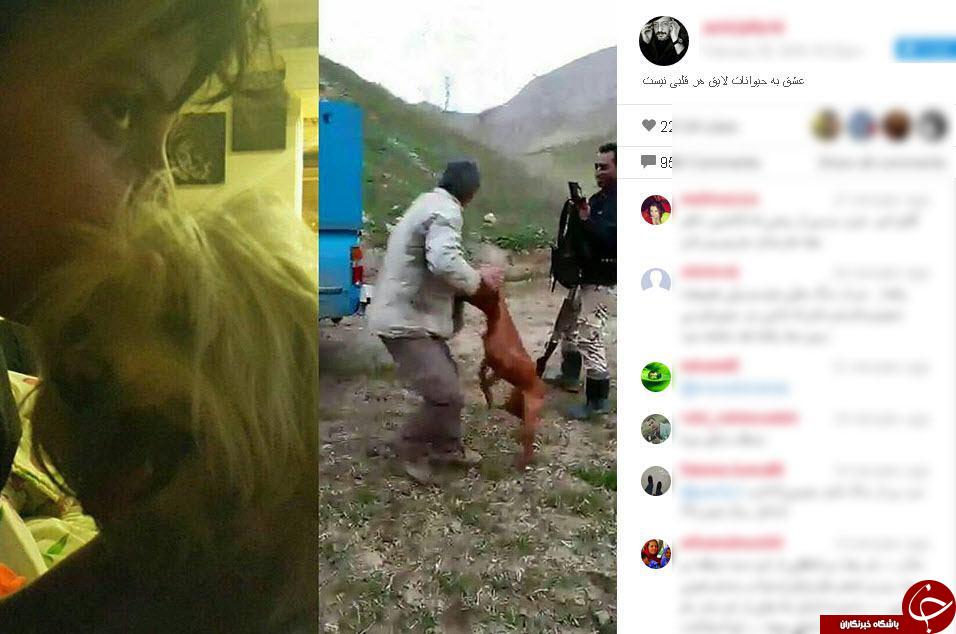 کمپین حمایت از حیوانات