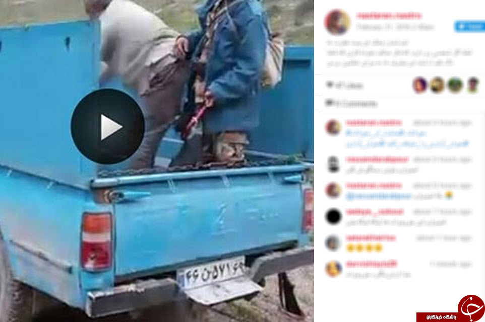 کمپین حمایت از حیوانات