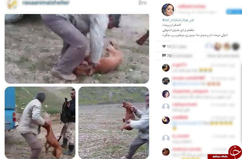 کمپین حمایت از حیوانات