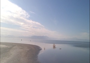 اشک گربه، پرآب شد + فیلم