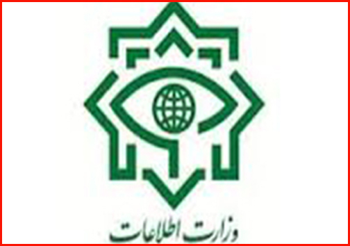 نجات مهجزه آسا پس از حمله گرگ ها تا کشف سکه های تقلبی