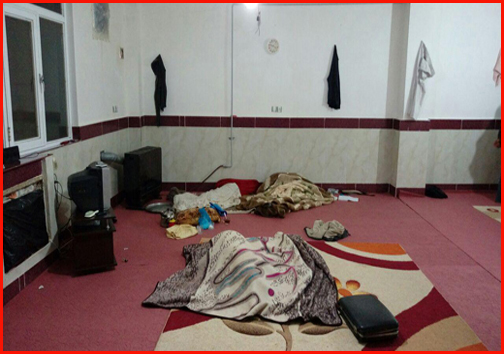 نجات مهجزه آسا پس از حمله گرگ ها تا کشف سکه های تقلبی