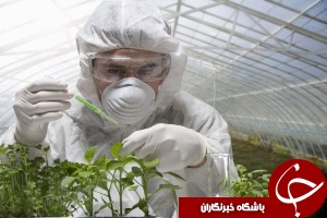 فعاليت 45 كلينيک گياه پزشکی در خوزستان