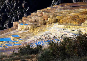 چشمه های طلایی در ساری