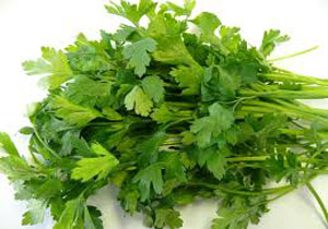رژیم لاغری 2 روزه برای نوروز 95!