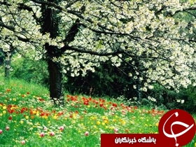 همايش بهارانه در اهواز