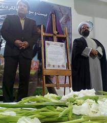 رونمایی از میثاق نامه مساجد در خراسان جنوبی