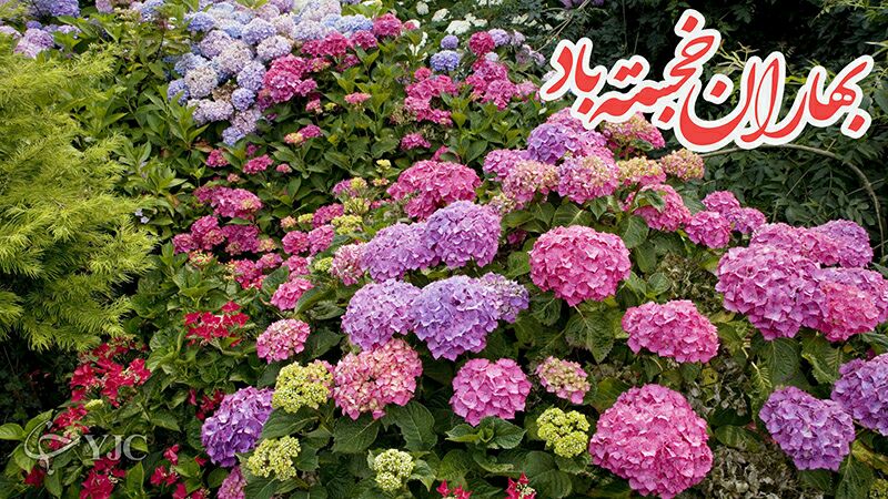 کارت پستال عید نوروز ۹۵