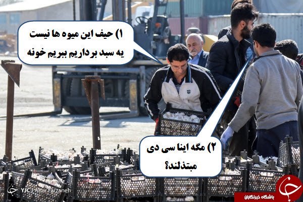 با جنبه ها وارد شوند +تصاویر