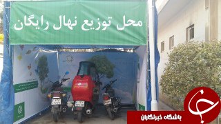 محل توزیع نهال یا پارکینگ موتور!! + عکس