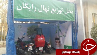 محل توزیع نهال یا پارکینگ موتور!! + عکس