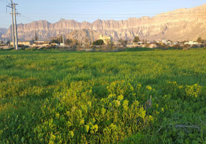 طبیعت زیبا و دل&zwnj;انگیز روستای بهده + تصاویر