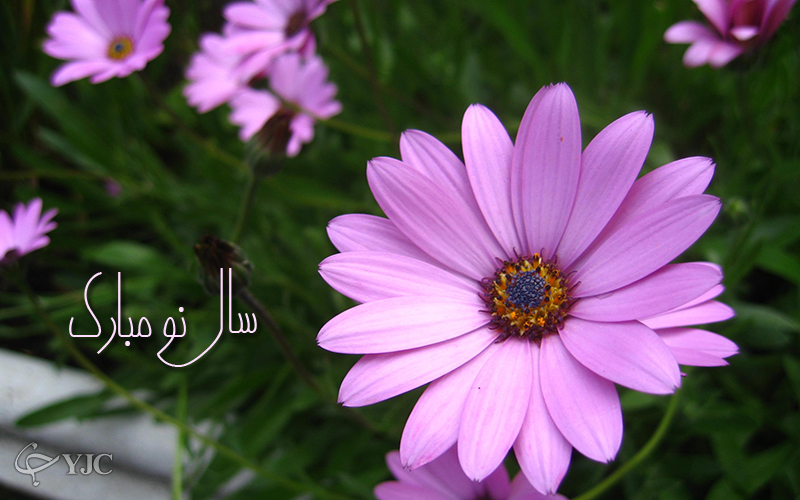 پوستر جدید عید نوروز ۹۵
