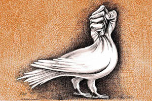 روند پیچیده صلح