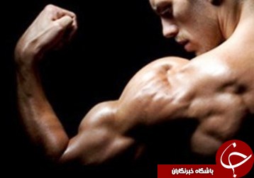 مدیران ورزشی به فیتنس بی توجه هستند