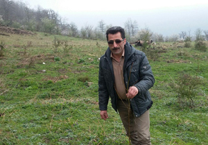 احیای جنگل با درختکاری + تصاویر