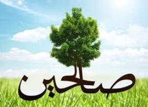 برترین های جشنواره صالحین ایرانشهر تجلیل شدند