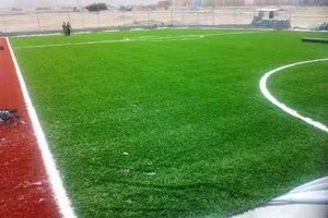 فیلم جدید ترین روش خنده دار برای ترمیم زمین چمن