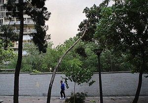 استقبال استان از  بادهای شمالی