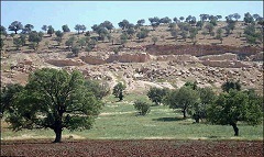 اجرای طرح کاداستر در اراضی استان یزد