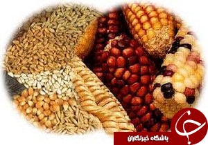 افتتاح نخستین پایگاه اطفای حریق منابع طبیعی گیلان در رشت