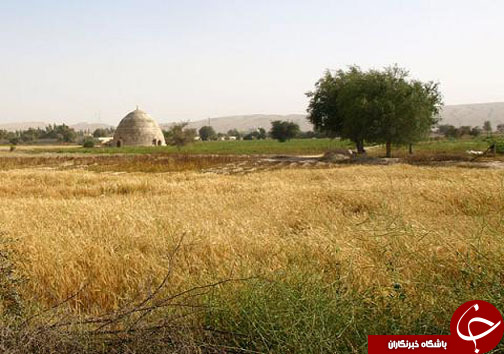 طبیعت بکر و سواحل زیبای پارسیان میزبان مهمانان نوروزی