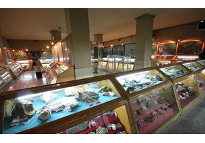 موزه تاریخ طبیعی همدان میزبان گردشگران نوروزی