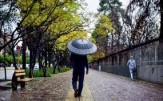هوا در روزهای آخر هفته سرد می شود