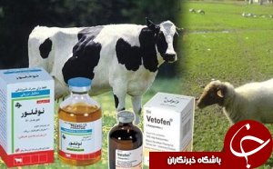 داروهای غیرمجاز دامی در اندیمشک کشف شدند