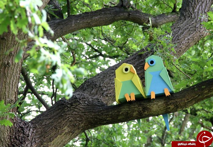 لانه های برای حفظ پرندگان+تصاویر
