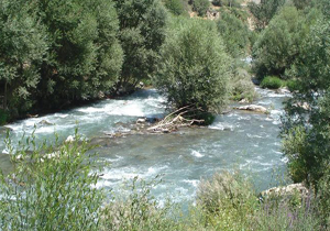 شاهرگ حیاتی مازندران در حال نابودی است