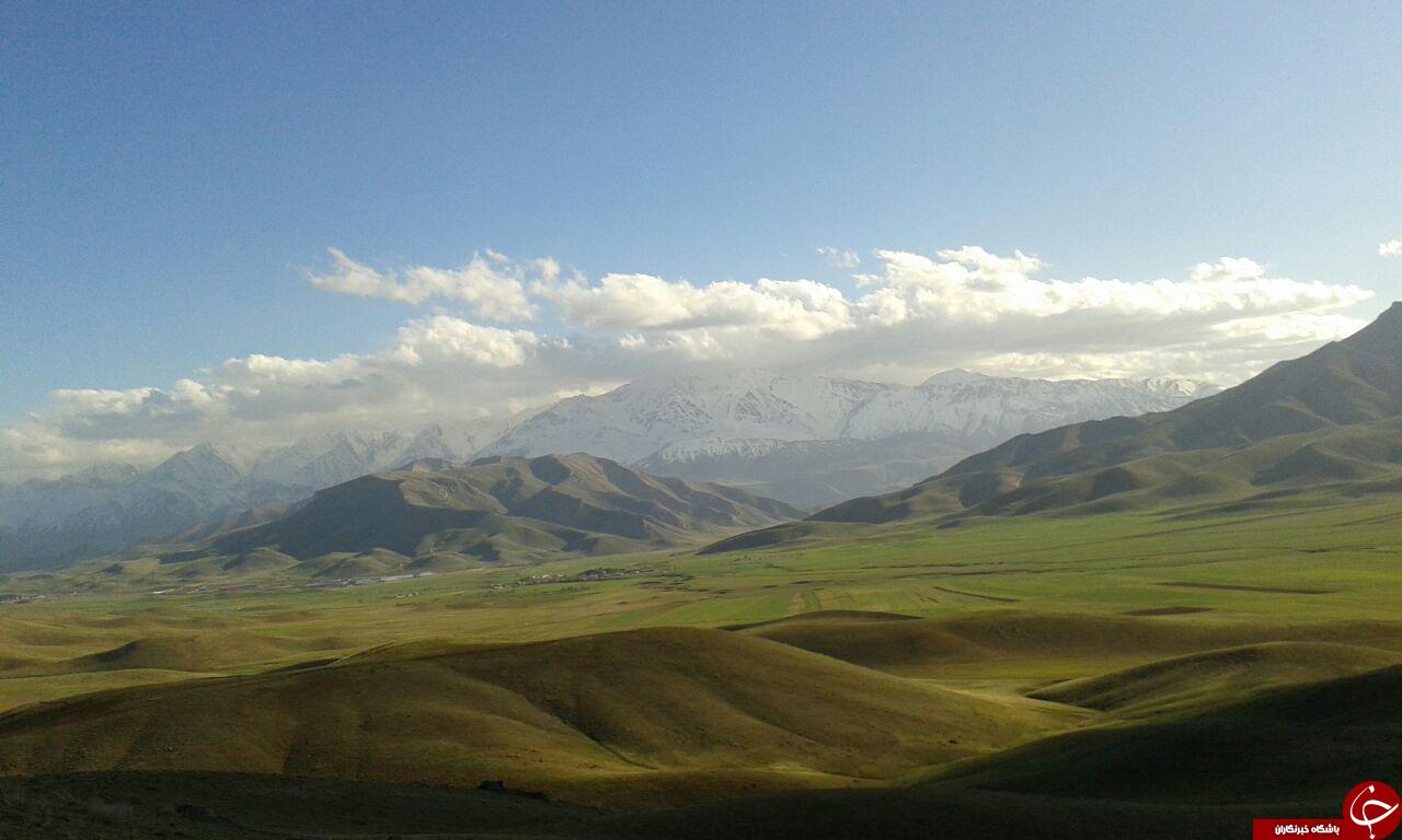 طبیعت بکر و رؤیایی اُشتران&zwnj;کوه + تصاویر