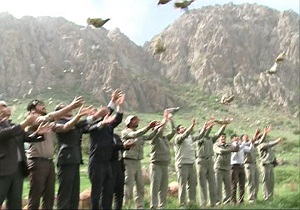 بازگشت 11 قطعه کبک به دامان طبیعت