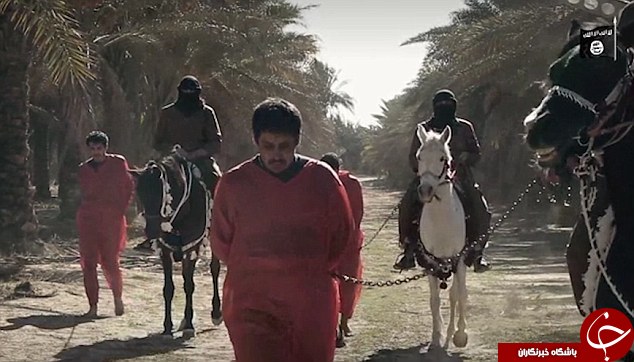 خلاقیت داعش در گردن زنی؛ این بار با اسب! +تصاویر خلاقیت داعش در گردن زنی؛ این بار با اسب! +تصاویر