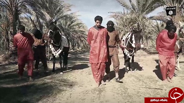 خلاقیت داعش در گردن زنی؛ این بار با اسب! +تصاویر خلاقیت داعش در گردن زنی؛ این بار با اسب! +تصاویر