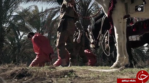 خلاقیت داعش در گردن زنی؛ این بار با اسب! +تصاویر خلاقیت داعش در گردن زنی؛ این بار با اسب! +تصاویر
