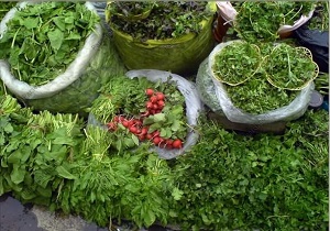 قیمت انواع سبزیجات در بازار میادین و تره بار+ جدول