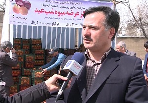 آغاز توزیع میوه شب عید در استان اردبیل