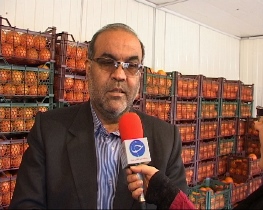 آغاز توزیع میوه شب عید در 55 غرفه