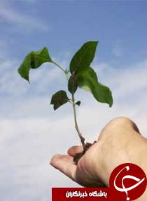 توزیع رایگان نهال در شادگان