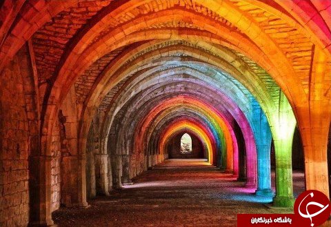 رنگ سال