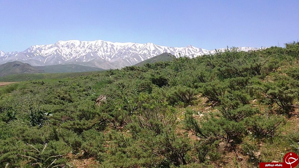 الیگودرز