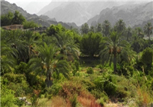 ادارات چاروسا آماده میزبانی از مسافران نوروزی