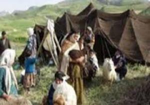 تزریق واکسیناسیون دامهای عشایر گلستان علیه بیماری تب برفکی در گلستان