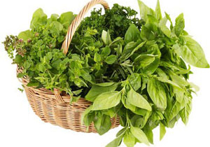 سبزی به جای سبزه