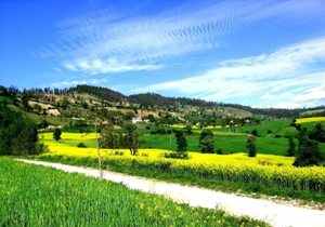 نوروز آفتابی