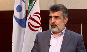 کمالوندی: دستاوردهای جدید هسته&zwnj;ای ۱۹ فروردین رونمایی می&zwnj;شود