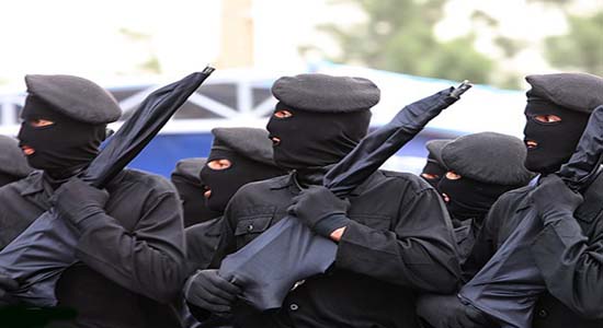 طبقه بندی تکاوران جمهوری اسلامی ایران
