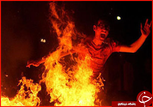 هفت دشت ممنوعه تا همکار نمکدان شکن در یک کلیک