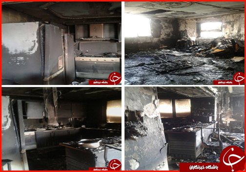 هفت دشت ممنوعه تا همکار نمکدان شکن در یک کلیک